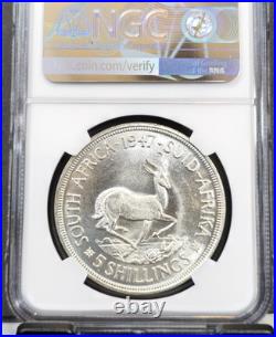 1947 South Africa Silver 5 Shillings Springbok Ngc Ms 64 Scarce Beautiful Bu