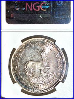1949 South africa 5 Shillings NGC PROOF 66 GEM 1 oF 800 TOP POP