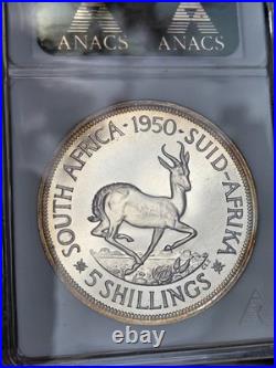 1950 South Africa 5 Shillings ANACS PROOF 65 GEM 1 oF 800 TOP POP 1950 South Africa 5 Shillings ANACS PROOF 65 GEM 1 oF 800 TOP POP