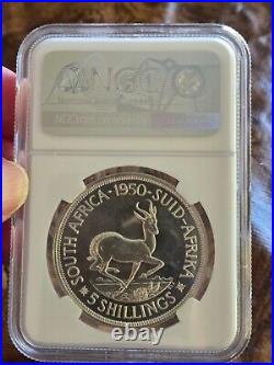 1950 South Africa 5 Shillings Crown NGC PROOF Blazing Beauty (1 of 500)