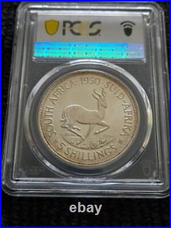 1950 South Africa 5 Shillings Crown PCGS PROOF 67 # TOP POP OBO