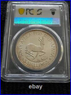 1950 South Africa 5 Shillings Crown PCGS Pf 67 (1 of 500) #1 TOP POP