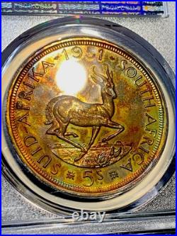 1951 South africa Silver 5 Shillings PCGS PR64 -BEAUTIFUL TONIG