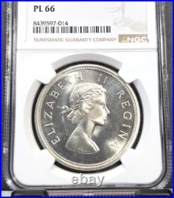 1953 South Africa Silver 5 Shillings Springbok Ngc Pl 66 Rare Gem Proof Like
