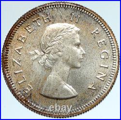 1954 SOUTH AFRICA Queen Elizabeth II Antique OLD Silver 2 Shilling Coin i103355