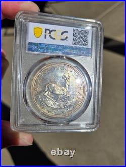 1954 South africa Silver 5 Shillings PL 65 UNC GEM BU Pop1500 1954 South africa Silver 5 Shillings PL 65 UNC GEM BU Pop1500