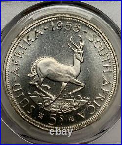 1955 South Africa 5 Shillings PCGS PL66 Silver Crown Sized Registry Coin KM52