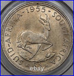 1955 South Africa 5 Shillings Pcgs Au58 Silver Only 2 Graded Higher Worldwide