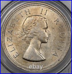 1955 South Africa 5 Shillings Pcgs Au58 Silver Only 2 Graded Higher Worldwide