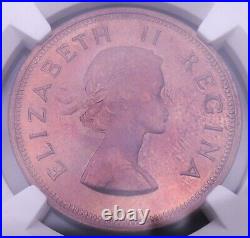 1956 South Africa Penny, NGC PF 66RB, nice proof coin # 1465