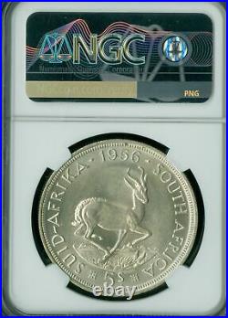 1956 South Africa Silver 5 Shillings Ngc Ms61 Mac Spotless Rare