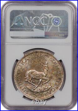 1963 South Africa 50 Cents Ngc Pl 66 Toned Unc Proof Like Very High Grade