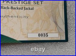 2006 SOUTH AFRICA 4 Coin Silver Proof Set Black-Backed Jackal 3.75 oz. 925 Fine