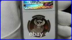 2006 South Africa Black Backed Jackal Chasing Birds NGC 69 Silver 10 cents Crown