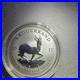 2017_1_oz_999_FINE_SILVER_KRUGERRAND_50th_ANNIVERSARY_PRIVY_UNCIRCULATED_01_ydr