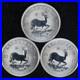 2017_South_Africa_3_x_1_Ounce_Silver_Krugerrand_Reverse_Finish_50th_Anniversary_01_ds