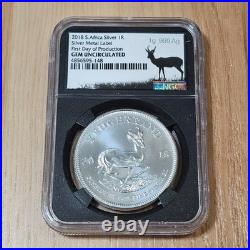 2018 1 oz Silver Krugerrand 1 gram Silver Metal Label GEM Uncirculated FDOP 1oz