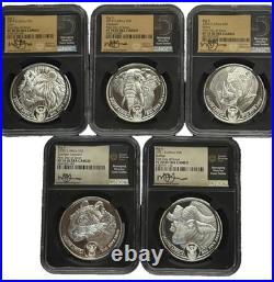 2019 2021 South Africa Big 5 Series 1 Complete Set NGC PF 70 ULTRA CAMEO 2019 2021 South Africa Big 5 Series 1 Complete Set NGC PF 70 ULTRA CAMEO