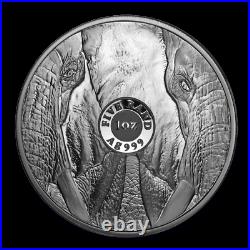 2019 Elephant South Africa Big Five 1 Oz Silver Coin Bu