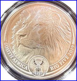 2019 S. Africa 5 Rand Big Five Lion 1 oz Silver Proof (African Mint)