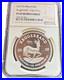 2019_S_African_KRUGERRAND_WithLion_Privy_BIG_5_COIN_NGC_PF69_Ultra_Cameo_01_xd