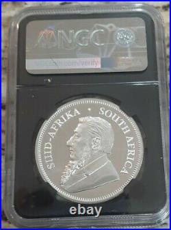 2019 South Africa 1oz Silver BIG 5 LION PRIVY Krugerrand Coin NGC PF70 UC FDI