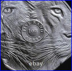 2019 South Africa Big Five Lion 1 Oz Silver Coin Bu Sealed In Blister Pack