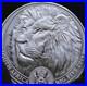 2019_South_Africa_Big_Five_Lion_1_oz_Silver_Coin_BU_01_srk