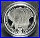 2019_South_African_BIG_5_Elephant_PROOF_1_oz_Silver_Rand_w_SA_Mint_Coin_Case_01_dowk