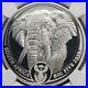 2019_South_African_Big_5_Silver_Elephant_Proof_Coin_01_ueh