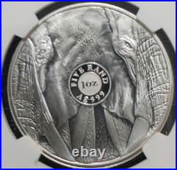 2019 South African Big 5 Silver Elephant Proof Coin