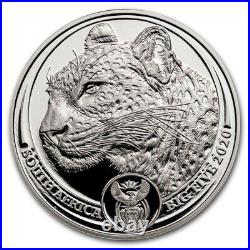 2020 1 Oz South Africa Big Five Leopard. 999 Silver Coin Bu
