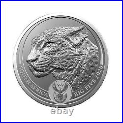 2020 BIG FIVE Leopard & Krugerrand Privy 2 coin silver proof set NewithBox/Coa