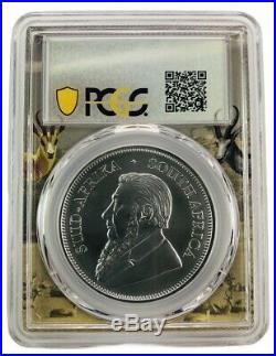 2020 South Africa 1oz Silver Krugerrand PCGS MS69 Picture Frame 10 Pack withCase
