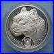 2020_South_Africa_5_Rand_Big_Five_Spotted_Leopard_1_oz_Silver_Proof_01_qxwu