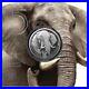 2021_Elephant_South_Africa_Big_Five_II_1_Oz_Silver_Coin_Bu_Presale_01_ff