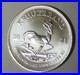 2021_Krugerrand_1_oz_999_Fine_Silver_South_Africa_Springbok_mrmtb_01_rr