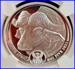 2021 South Africa Big 5 Buffalo Ngc Pf70 First Releases