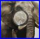 2021_South_Africa_The_Big_Five_5_ELEPHANT_1_oz_Silver_Coin_in_Blister_Pack_01_avam
