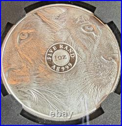 2022 S. Africa Big 5 Series II Lion First Releases NGC PF 70 Ultra Cameo FDOI