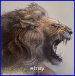 2022 South Africa Big5 II LION 1oz Silver Coin NGC PF 70UC BLK Core 3k Mint