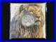 2022_South_Africa_Big_5_Lion_1oz_Silver_999_In_Original_Package_Item_930_01_uqls