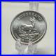 2022_South_Africa_Silver_Krugerrand_Coin_1_oz_999_Fine_Silver_Exact_Coin_01_knav