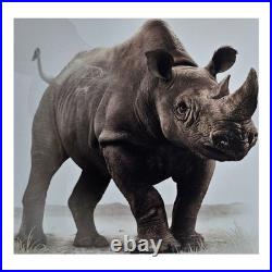 2022 South African Mint 1 Ounce Silver Big 5 Black & White Rhino. 999 Fine 1 oz