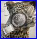 2023_5R_South_Africa_the_Big_5_Leopard_1ozt_Silver_Coin_Low_Mint_Numbered_Packs_01_bmzo