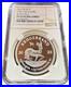 2023_S_African_KRUGERRAND_WithBuffalo_Privy_BIG_5_Series_2_NGC_PF69_Ultra_Cameo_01_dtt