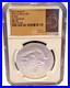 2023_South_Africa_1_Oz_Silver_Big_5_Series_lll_Buffalo_PROOF_NGC_MS70_01_eehb