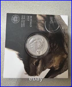 2023 South Africa Big Five Buffalo 1 Oz Silver Coin. 999 In Original Packaging