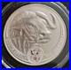 2023_South_Africa_Big_Five_Buffalo_1_oz_Silver_Coin_BU_in_Capsule_Cape_Buffalo_01_bjh