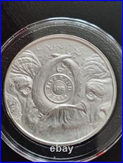 2023 South Africa Big Five Buffalo 1 oz Silver Coin BU in Capsule Cape Buffalo